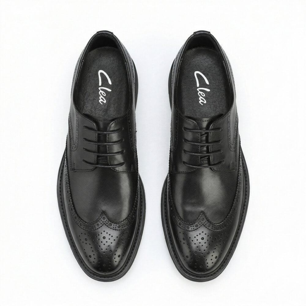 QHCCID | Brookes Style Business Formal Shoes